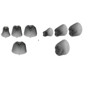 Signia & Rexton Sleeves -Vented, Closed (6/PACK)